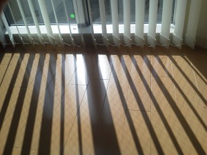 NEC_0048.JPG