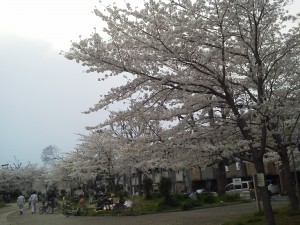 NEC_0130.JPG
